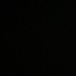 Meet your Posher, Jackson